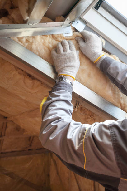 Best Insulation Installation Services in Harrodsburg, KY
